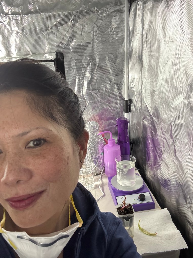Keala in her Tissue Culture Lab
